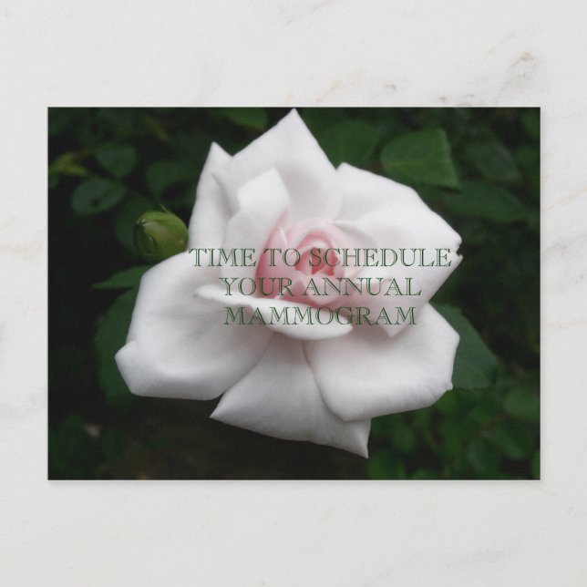 JahresMammogramm Postkarte (Vorderseite)