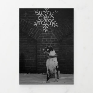 Jahresrückblick Fotos Karte