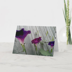 Jahrestags-Gruß-Karte Karte