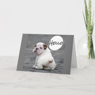 ***JAHRESWÜNSCHE AUS BULLDOG*** KARTE