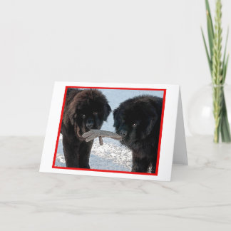 Jahreszeit am besten….Freier Raum Feiertagskarte