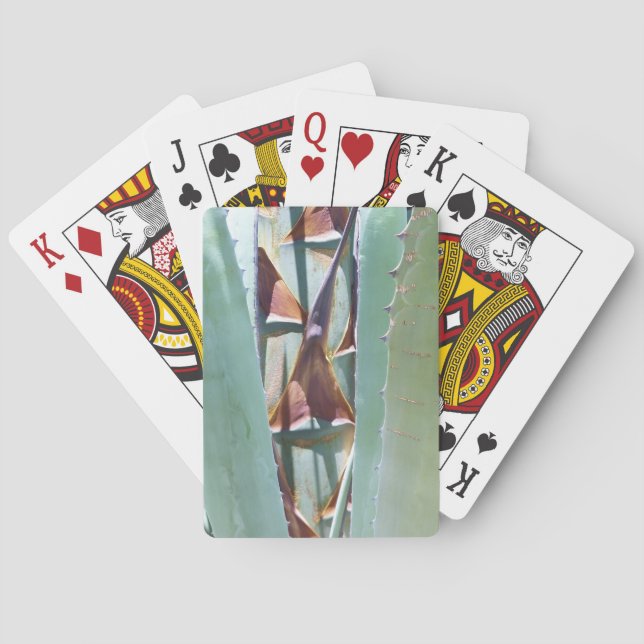 Jahrhundert oder Agave Spielkarten (Rückseite)