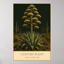 Jahrhundert Pflanze – Vintage botanische Illustrat