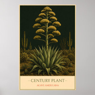 Jahrhundert Pflanze – Vintage botanische Illustrat Poster