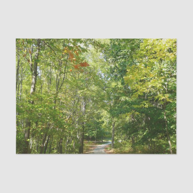 Jahrhundertwaldweg I Ellicott Stadt Natur Seidenpapier (Vorderseite)