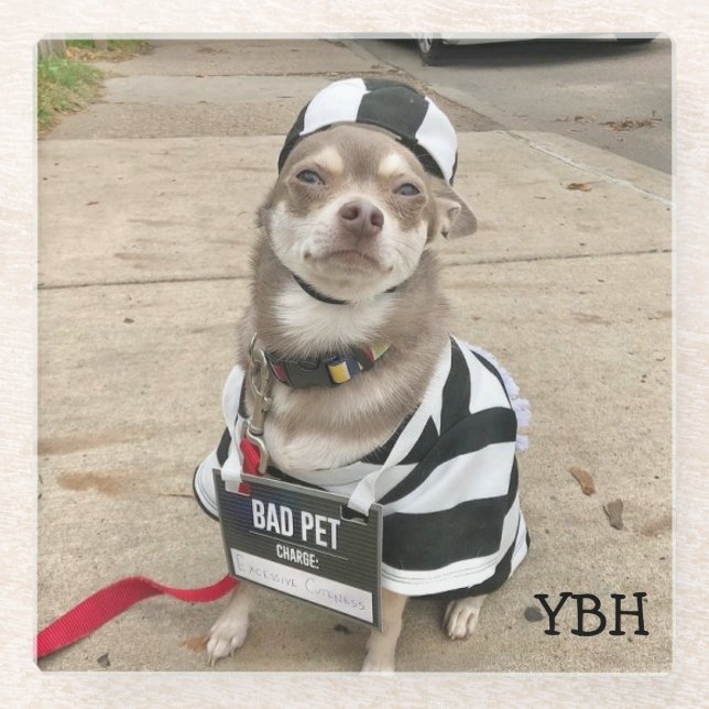 Jail Bird Huey Glasuntersetzer (Vorderseite)