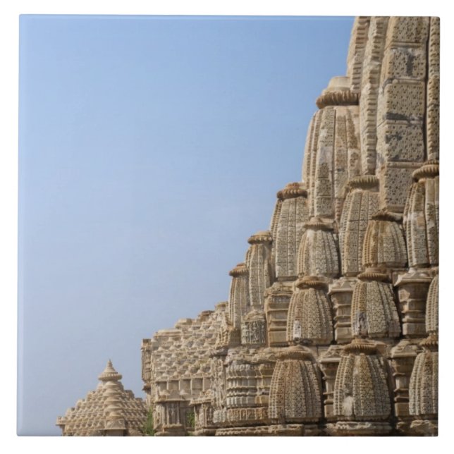 Jain-Tempel in Chittorgarh Fort, Indien Fliese (Vorderseite)