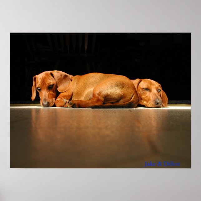 Jake & Dillon Poster (Vorne)