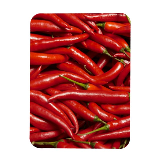 Jalapenos Magnet (Vertikal)