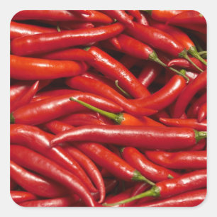 Jalapenos Quadratischer Aufkleber