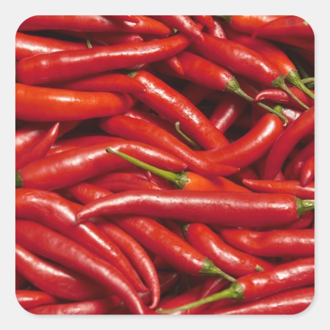 Jalapenos Quadratischer Aufkleber (Vorderseite)