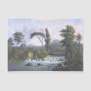 Jamaica Cabarita River Westmoreland Seidenpapier