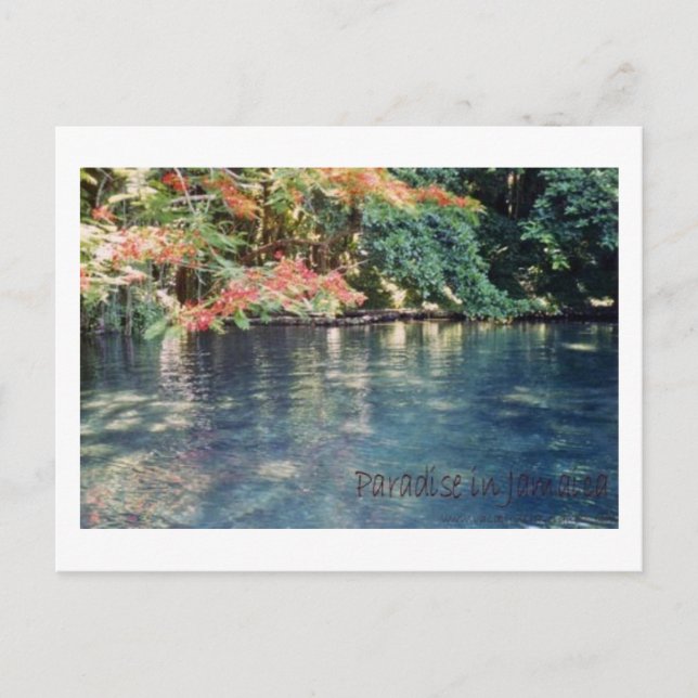 Jamaica Paradise Postcard Postkarte (Vorderseite)