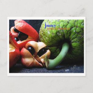 Jamaican Ackee Frucht und Breadfruit Postkarte