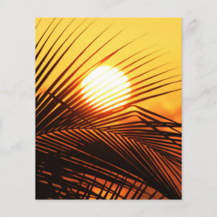 JAMAICAN SUNSET TROPICAL FOTOGRAF NATUR WALLPA FLYER