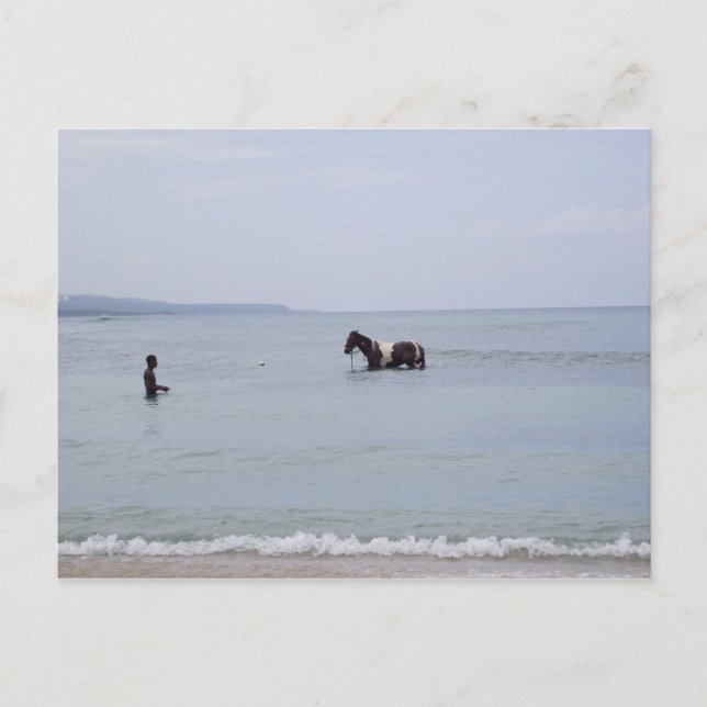 Jamaika-Postkarte Postkarte (Vorderseite)