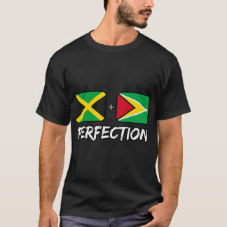 Jamaikaner und Guyaner Perfection Mix DNA Flag Her T-Shirt