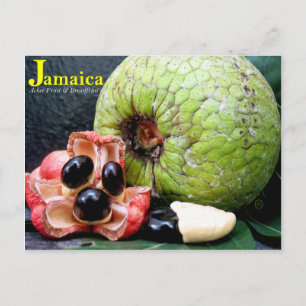 Jamaikanische Breadfruit und Ackee Fruit 2k17 Postkarte