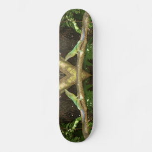 Jamaikanische grüne Eidechse Skateboard