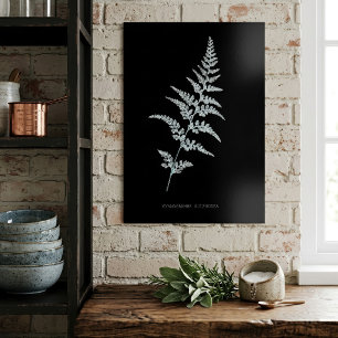 Jamaikanischer Goldfarn, Gymnogramma Sulphurea Poster