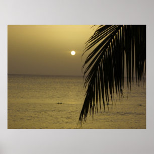 Jamaikanisches Sunset-Poster Poster