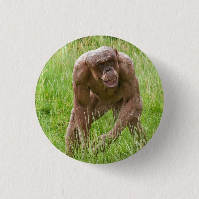 Jambo Der einzigartige haarlose Chimp Button (Vorderseite)