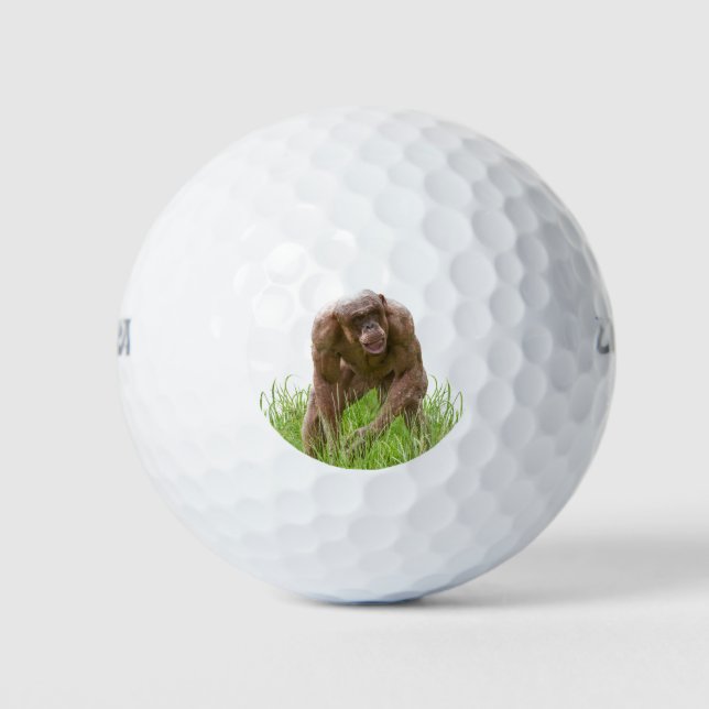 Jambo Der einzigartige haarlose Chimp Golfball (Vorderseite)
