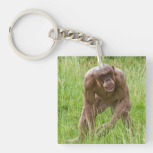 Jambo Der einzigartige haarlose Chimp Schlüsselanhänger