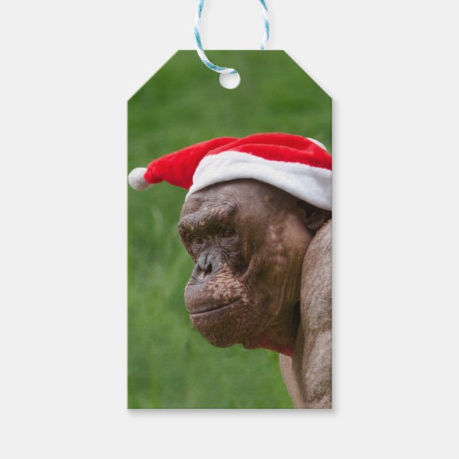 Jambo in einem Weihnachtshut Geschenkanhänger (Vorderseite)