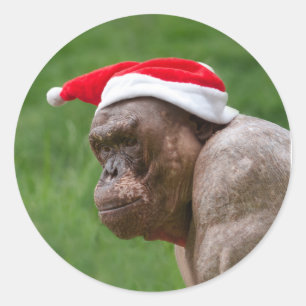 Jambo in einem Weihnachtshut Runder Aufkleber