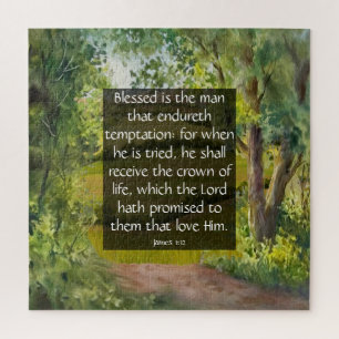 James 1:12 puzzle
