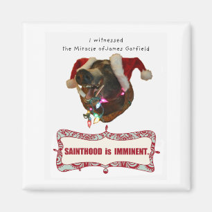 James Garfield für Sainthood Magnet