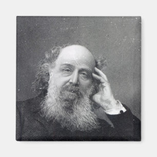 James Joseph Sylvester Magnet