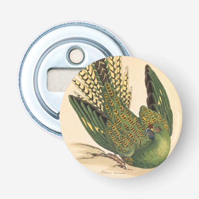 James Sowerby Ground Parrot, Psittacus terrestris Flaschenöffner (Vorderseite)