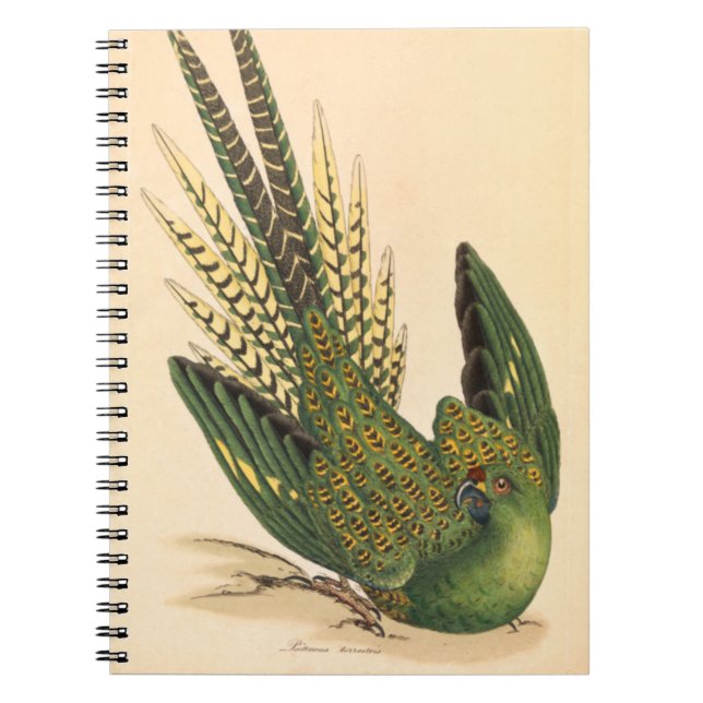 James Sowerby Ground Parrot, Psittacus terrestris Notizblock (Vorderseite)