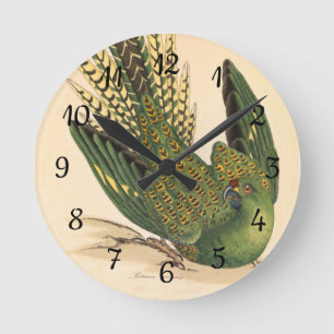 James Sowerby Ground Parrot, Psittacus terrestris Runde Wanduhr