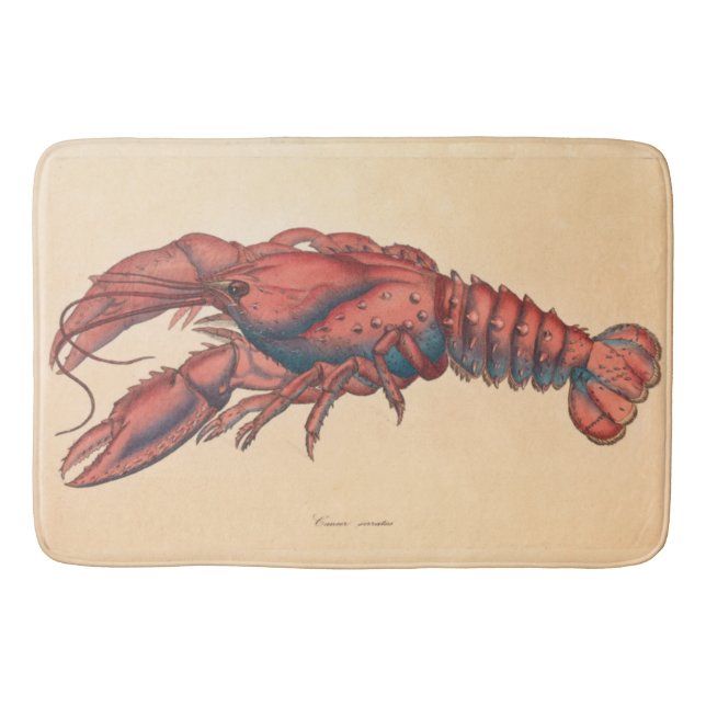 James Sowerby Serrated Lobster Badematte (Vorderseite)