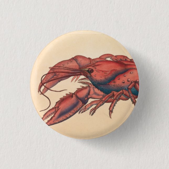 James Sowerby Serrated Lobster Button (Vorderseite)