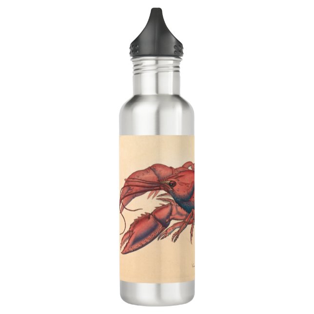 James Sowerby Serrated Lobster Edelstahlflasche (Links)