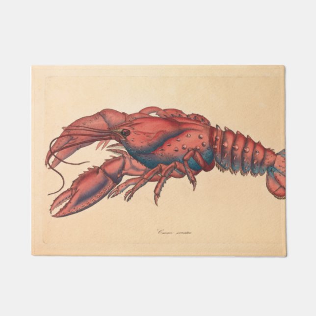 James Sowerby Serrated Lobster Fußmatte (Vorderseite)