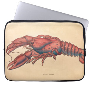 James Sowerby Serrated Lobster Laptopschutzhülle