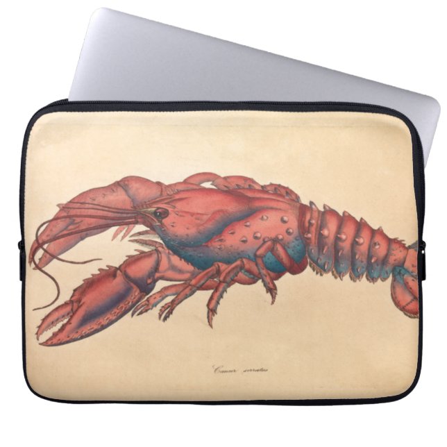 James Sowerby Serrated Lobster Laptopschutzhülle (Vorderseite)
