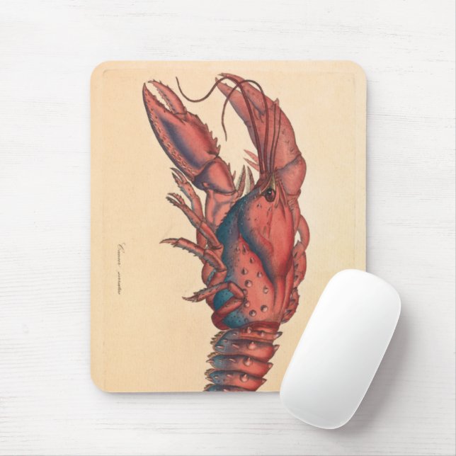 James Sowerby Serrated Lobster Mousepad (Mit Mouse)