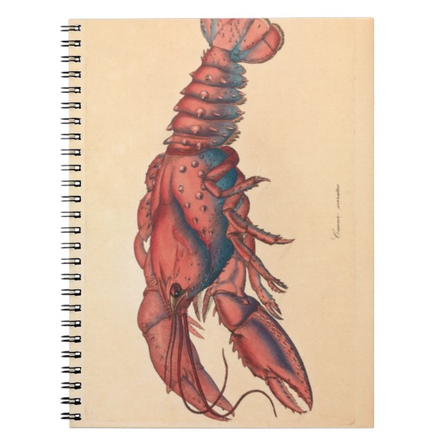James Sowerby Serrated Lobster Notebook Notizblock (Vorderseite)