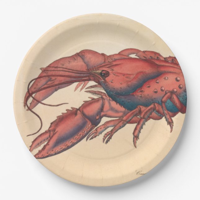 James Sowerby Serrated Lobster Pappteller (Vorderseite)