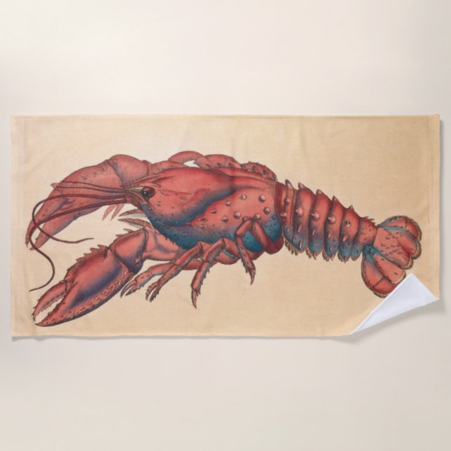 James Sowerby Serrated Lobster Strandtuch (Vorderseite)