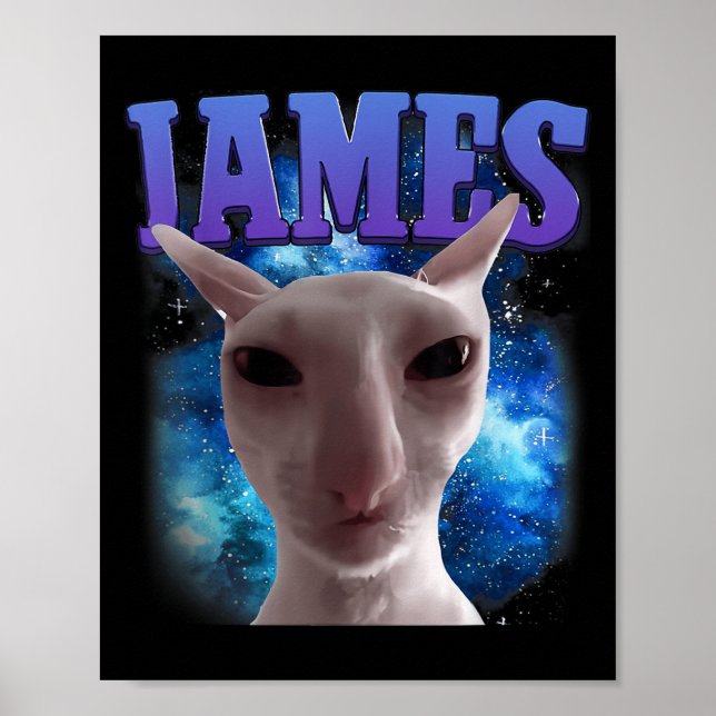 James The Cat Meme Funny Albern Cats Brainrot Meme Poster (Vorne)