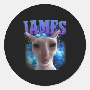James The Cat Meme Funny Albern Cats Brainrot Meme Runder Aufkleber