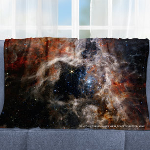James Webb Tarantula Nebula Hi-Res Image 2022 Fleecedecke
