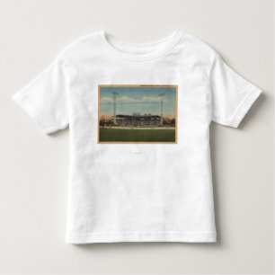 Jamestown, NY - städtisches Baseball-Stadion Kleinkind T-shirt